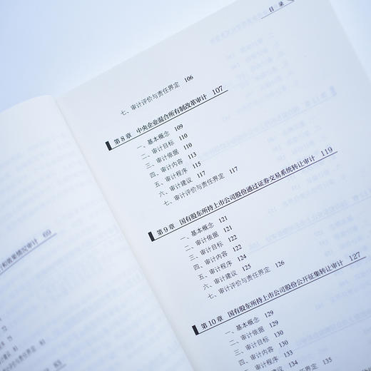 国有企业经济责任审计实务指南 国企审计工具书财务报告审计报告会计财务报表普华审计实务工具书系列 商品图3