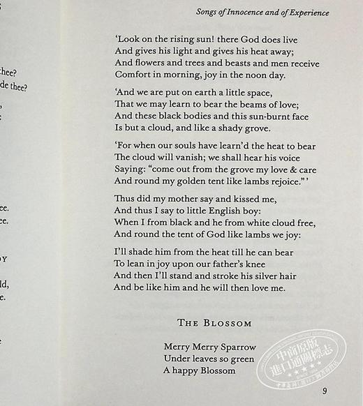 【中商原版】LBS:  89 Tyger, Tyger 英文原版 小黑书: 89 威廉·布莱克：老虎，老虎 经典名著 William Blake 商品图7