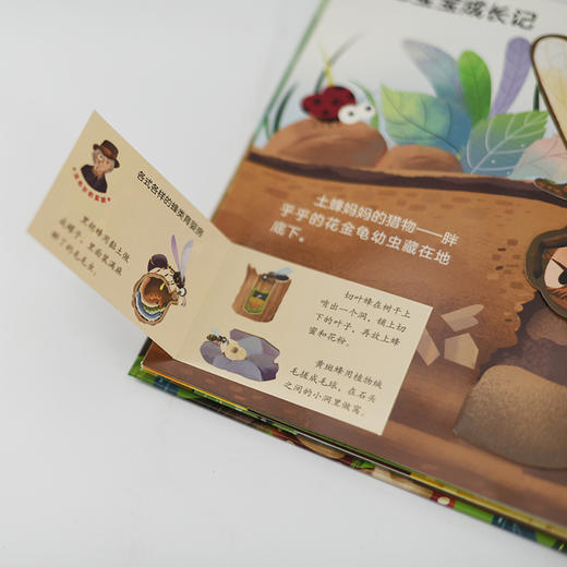 STEAM探索 法布尔昆虫记互动立体书 蜂和红蚂蚁 3-6岁儿童科普启蒙书 幼儿启蒙绘本 3D互动探索纸上昆虫博物课 商品图7