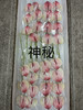 【绿光彩掌】神秘 商品缩略图1