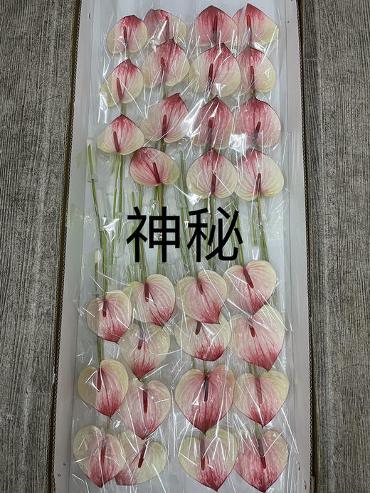 【绿光彩掌】神秘 商品图1
