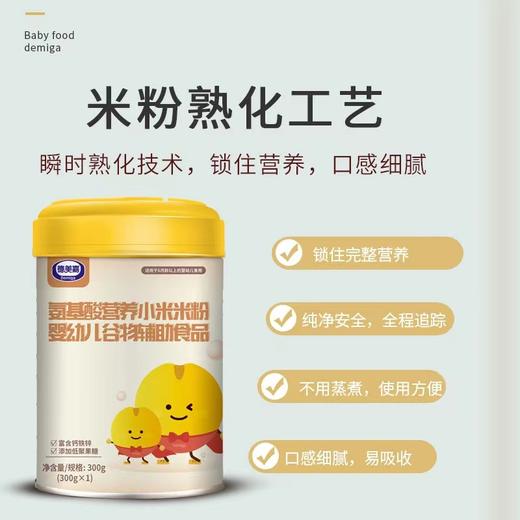 德美嘉小米氨基酸婴儿米粉低敏不含牛奶蛋白辅食米粉300g 商品图0