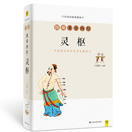 【正版】图解黄帝内经·灵枢 附有《灵枢》原文 商品图0