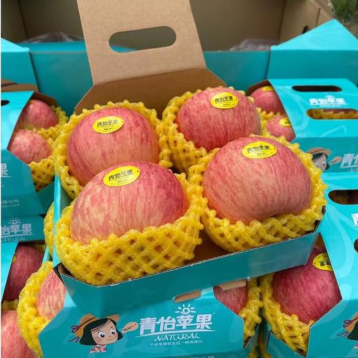 青怡苹果(盒) 商品图0