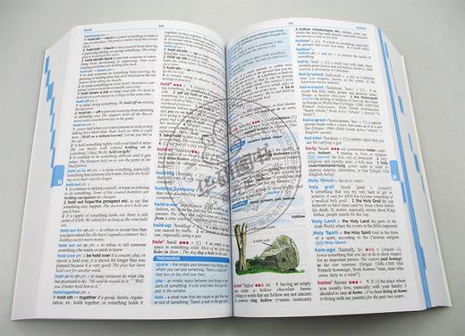 朗文中阶美式英语学习词典 第5版 英文原版 Longman Dictionary of American English 配线上资源 英文版工具书 进口原版书籍 商品图1