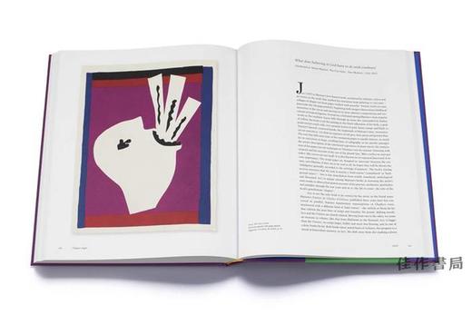 Matisse: The Books/马蒂斯：书籍 商品图2