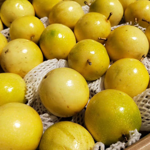 海南钦蜜9号黄金百香果（普箱） 商品图2