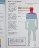 【中商原版】生物学 Barrons Visual Learning Biology  Helen Pilcher 商品缩略图5
