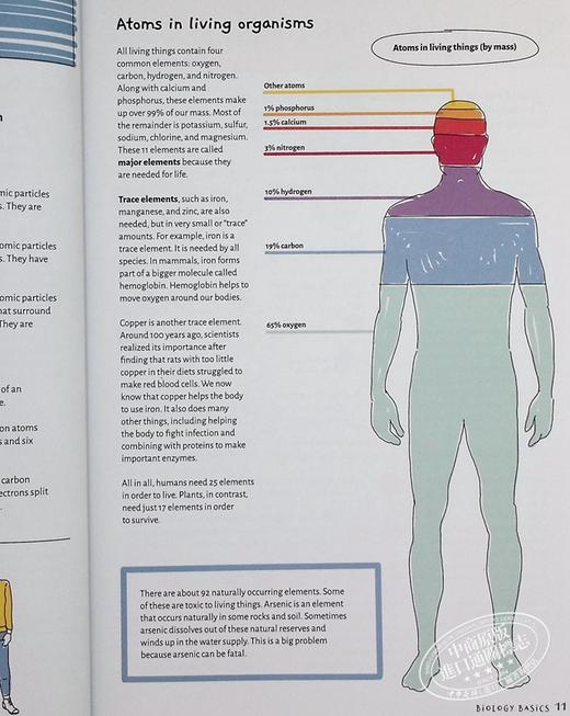 【中商原版】生物学 Barrons Visual Learning Biology  Helen Pilcher 商品图5