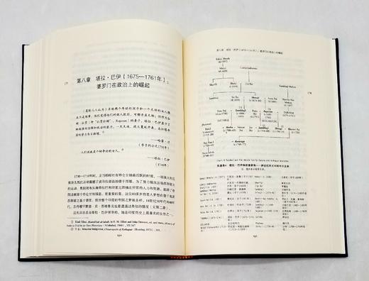 《新编剑桥印度史》8种，精装，云南人民出版社，总定价462元，售价398 商品图8