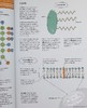 【中商原版】生物学 Barrons Visual Learning Biology  Helen Pilcher 商品缩略图6