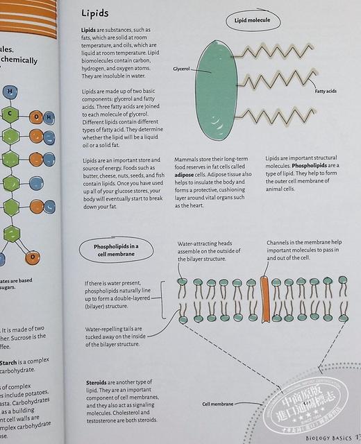 【中商原版】生物学 Barrons Visual Learning Biology  Helen Pilcher 商品图6