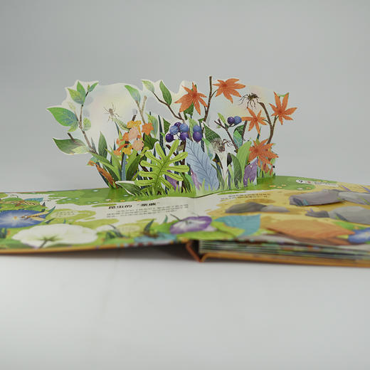 STEAM探索 法布尔昆虫记互动立体书 蜘蛛和蝎子 3-6岁儿童科普启蒙书 3D探索纸上昆虫博物课 *家动物博物馆审定 商品图4