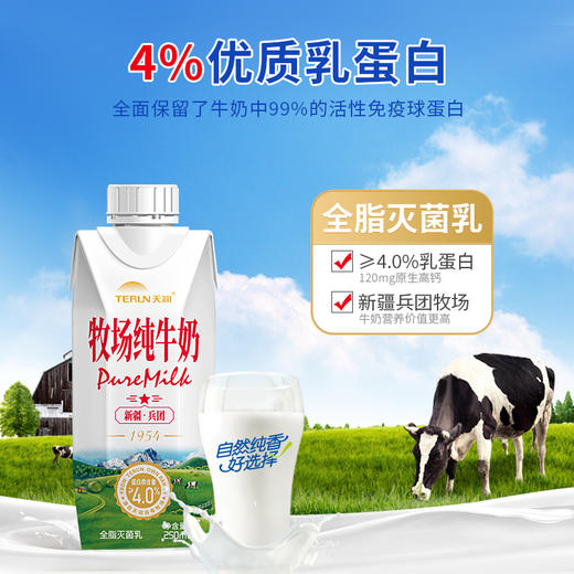 蛋白质高达4.0，新疆天润兵团牧场纯牛奶 250ml*10瓶 商品图2