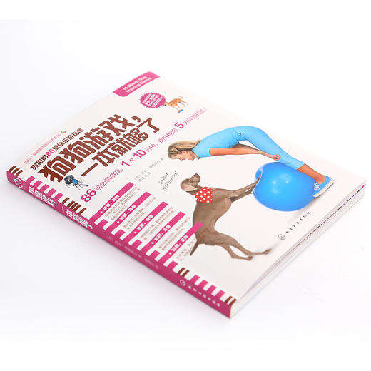 (仓发) 凯拉·桑德斯狗狗训养系列--狗狗游戏，一本就够了/化学工业出版社/[美]凯拉·桑德斯/9787122350473 商品图2