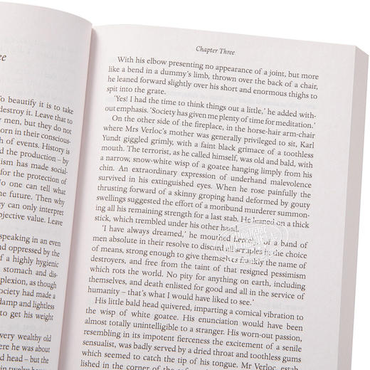 【中商原版】间谍 英文原版 The Secret Agent Joseph Conrad Penguin UK 推理与惊悚小说 商品图3