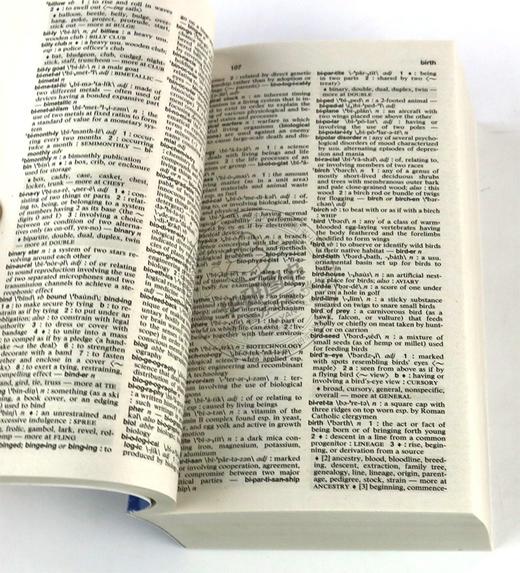 韦氏同义词字典 英文原版 Merriam-Webster's Dictionary and Thesaurus 新版 英文版词典工具书 进口原版英语词汇学习书籍 商品图2