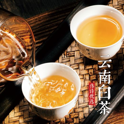 伟诗优选 | 云南白茶 商品图6