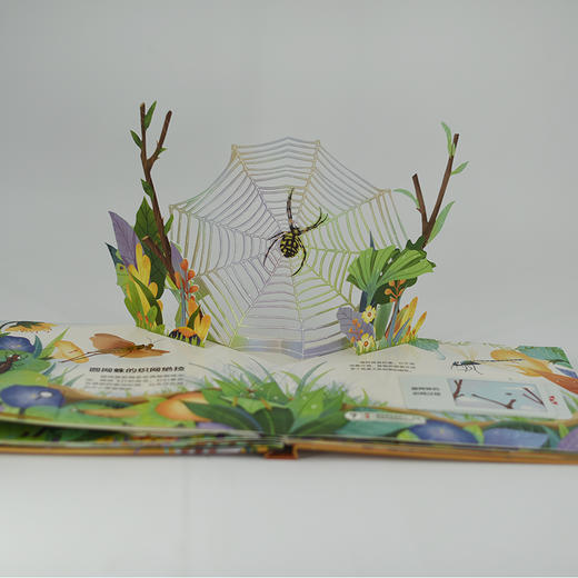 STEAM探索 法布尔昆虫记互动立体书 蜘蛛和蝎子 3-6岁儿童科普启蒙书 3D探索纸上昆虫博物课 *家动物博物馆审定 商品图5