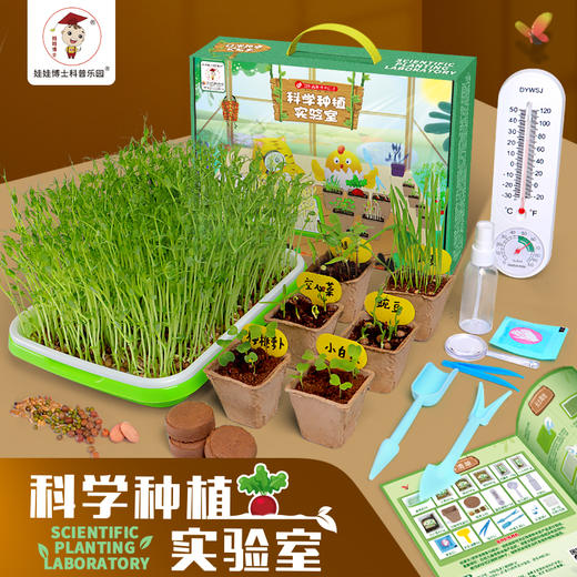 【植物养殖】娃娃博士科学种植实验室 满足孩子热爱植物的好奇心 商品图3