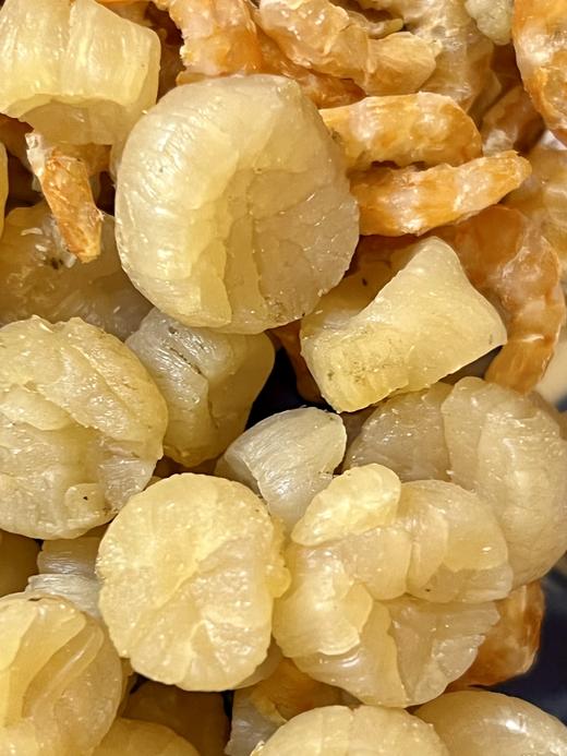 野生淡干 栉孔干贝肉 贝中上品 鲜甜无比 无盐无添加 |百里食 商品图2