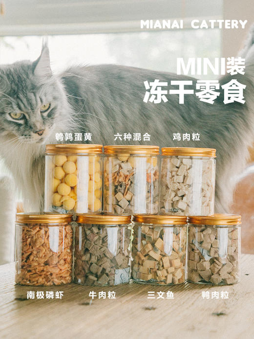 缅爱宠物零食冻干MINI装 商品图2