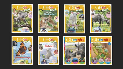 Geomini - 2022 Jahrgang 商品图0