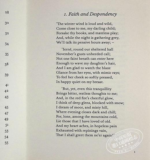 【中商原版】LBS:  63 The Night is Darkening Round Me 英文原版 小黑书: 63 艾米莉·勃朗特：四周夜色越来越暗 商品图5