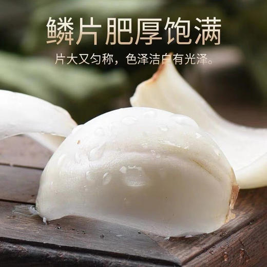 有机甜鲜百合（产地：兰州） 商品图8