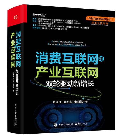 消费互联网和产业互联网：双轮驱动新增长 商品图0