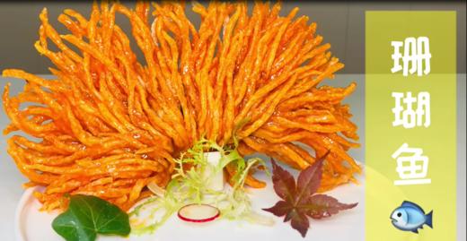 珊瑚鱼 商品图0