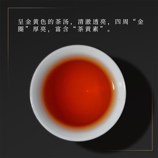 霏鸿茶叶 正山小种特级蜜香型武夷山红茶浓香型礼盒装茶叶 商品图4