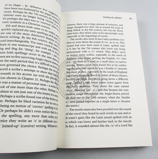 一一道来 英语拼写的奇异故事 英文原版 Spell It Out The singular story of English spelling 英文版 进口原版英语书籍 商品图1