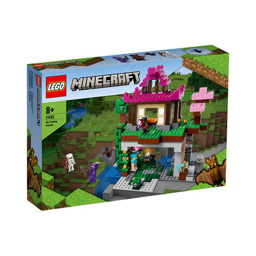 乐高我的世界系列21183训练场 商品图0