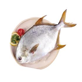 金鲳鱼 约300-400g /条
