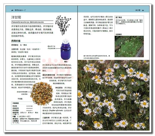 【心如健推荐】 DK家庭草药百科手册[精装大本] 商品图3