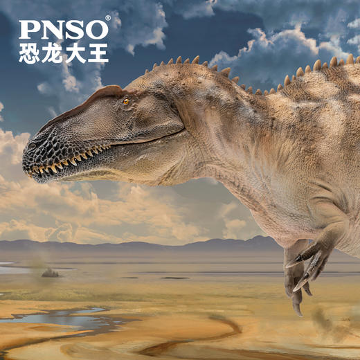 PNSO高棘龙弗格斯恐龙大王成长陪伴模型61 商品图5