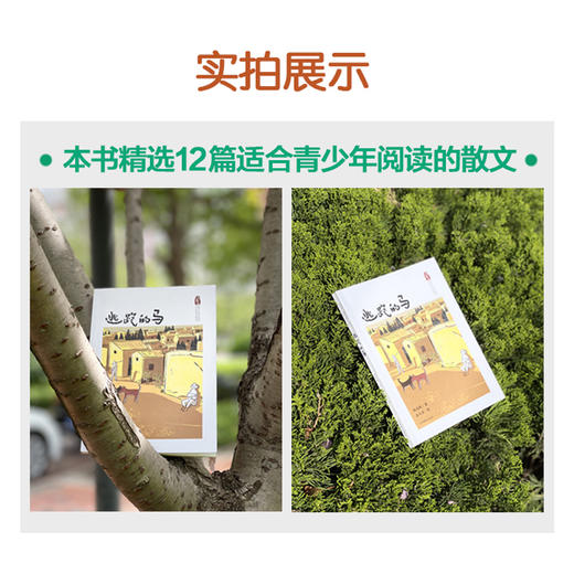 逃跑的马   百千61期年五年级级共读书小学生5年级正版现货速发 商品图2