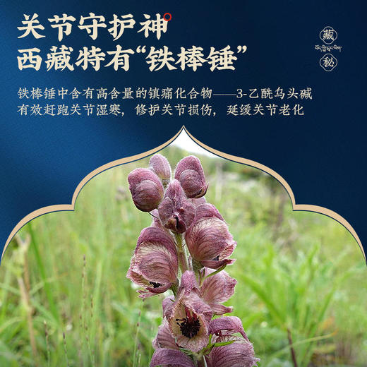 【买5送5】宝识藏秘关节贴舒缓酸麻肿胀养护关节全身关节适用 商品图1