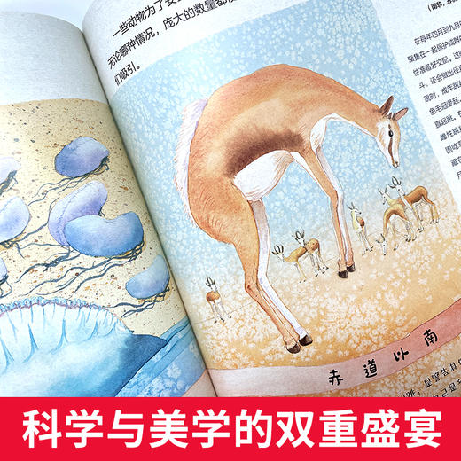 筑桥童书 赤道以北 赤道以南——野生动物的春夏秋 6~10岁精装儿童读物绘本 科普百科·动物科普 一本独特的地球环境和动物书 ZQ 商品图4
