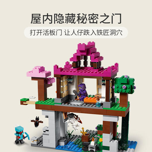 乐高我的世界系列21183训练场 商品图3