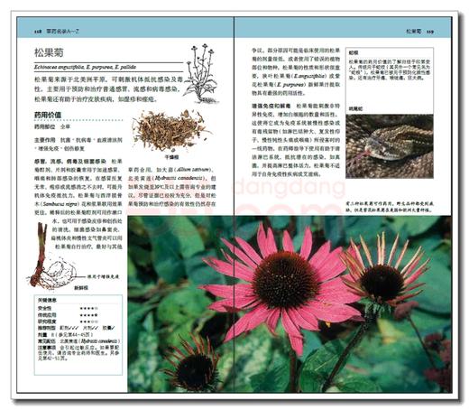 【心如健推荐】 DK家庭草药百科手册[精装大本] 商品图4