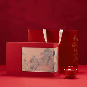 霏鸿茶叶 正山小种特级蜜香型武夷山红茶浓香型礼盒装茶叶