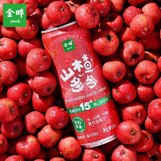 金晔山楂多多果汁饮料310ml 商品图1