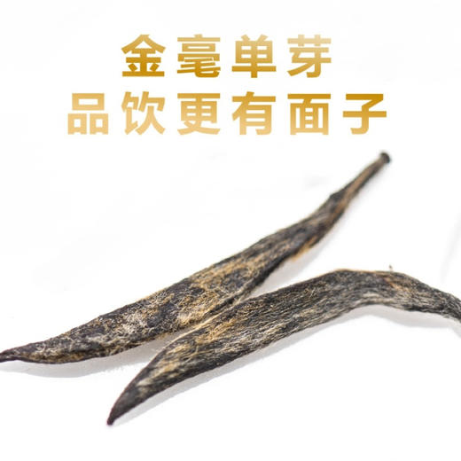 春贡·头采金芽红茶  金芽金汤 全单芽 金奖品质150g(3*50g) 商品图4