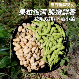 【双拼组合】农家花生+毛豆双拼组合  夏日烧烤小凉菜   生态种植  新鲜采摘搭配发货  1斤