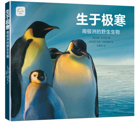 筑桥童书 生于极寒：南极洲的野生生物 精装7-10岁科普百科硬壳儿童少儿绘本 自然、生物、南极 儿童读物·科普百科 ZQ 商品图4