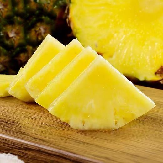 树上熟凤梨普通箱4.5-5斤/10斤 商品图0