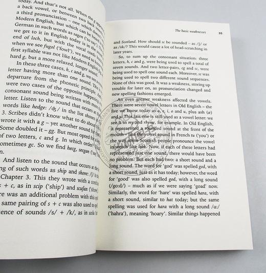 一一道来 英语拼写的奇异故事 英文原版 Spell It Out The singular story of English spelling 英文版 进口原版英语书籍 商品图2