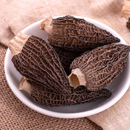 🍄云南 ·高原 ·精品 · 干羊肚菌 商品图2